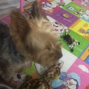 Meet your Posher, Martin